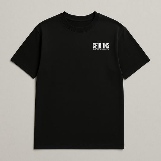 Stadium Postcode Coordinates - Wales T-Shirt