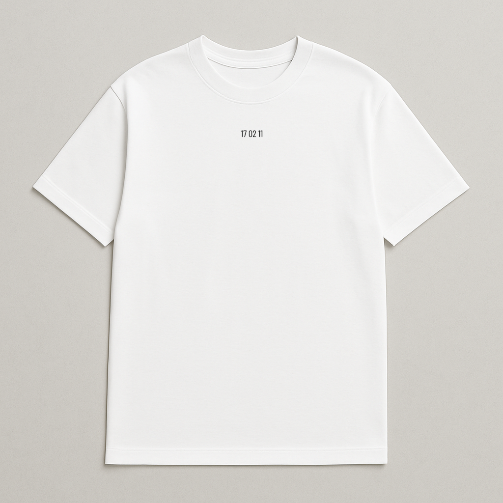 17 02 11 - Birmingham T-Shirt